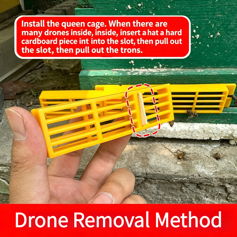 Marco de escape multifuncional - Drone Multispectral reseña y precio